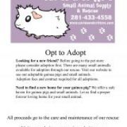 Mycavy