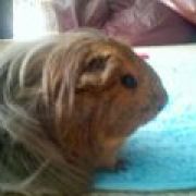 Morsel