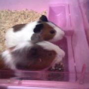 NadiaNurdina