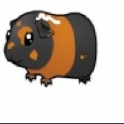 pandaband1236