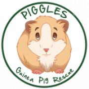 Piggles