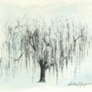amorto01
