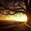 serenity