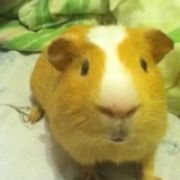 LilFoot09