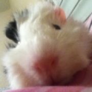 Astrid