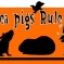 guinea pig . com