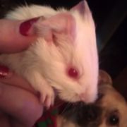 CritterGirl4Ever