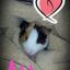 PiggyMomm84