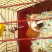 Mommie3rkd