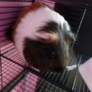 winnie