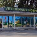 Veterinary Associates Stonefield