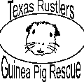 Texas Rustler