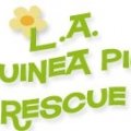 Los Angeles Guinea Pig Rescue