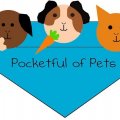 Pocketful of Pets