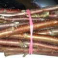 SWANEE ORCHARDS ORGANIC APPLE WOOD CHEW STICKS