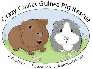 Crazy Cavies Guinea Pig Rescue Inc.