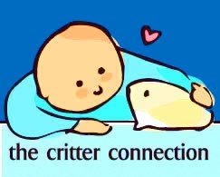 The Critter Connection