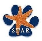 Starfish to the Sea Animal Rescue