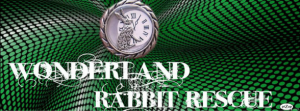 Wonderland Rabbit Rescue
