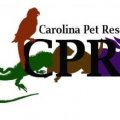 Carolina Pet Rescue
