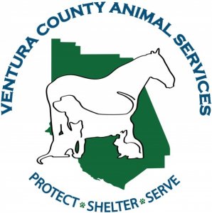 Ventura County Animal Services - Camarillo