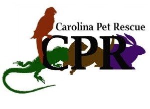 Carolina Pet Rescue