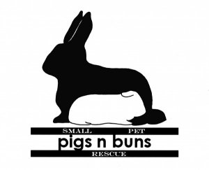 Pigs n Buns Small Pet Rescue